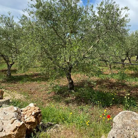 Trellame - Tra Gli Ulivi Holiday home Acquaviva delle Fonti